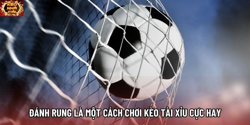 Đánh rung là một cách chơi kèo tài xỉu cực hay Đánh rung là một cách chơi kèo tài xỉu cực hay